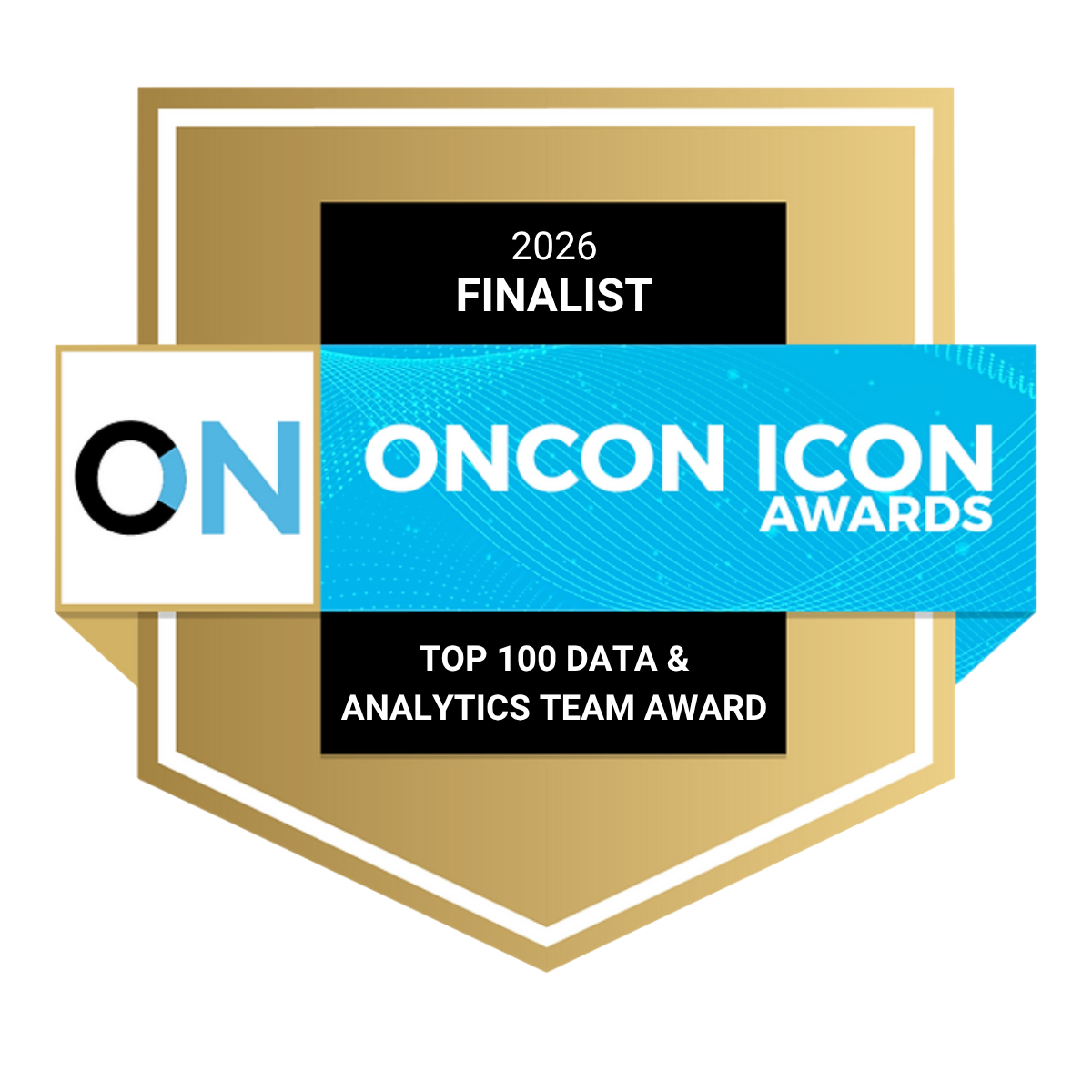 Top 100 Data and Analytics Teams finalist badge